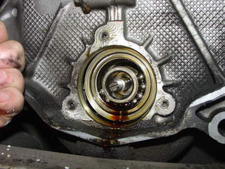 The Revolution Porsche PPP covers known issues such as IMS bearing failure.