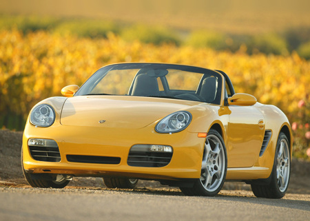 It is sensible to get an expert opinion before buying a used Porsche.